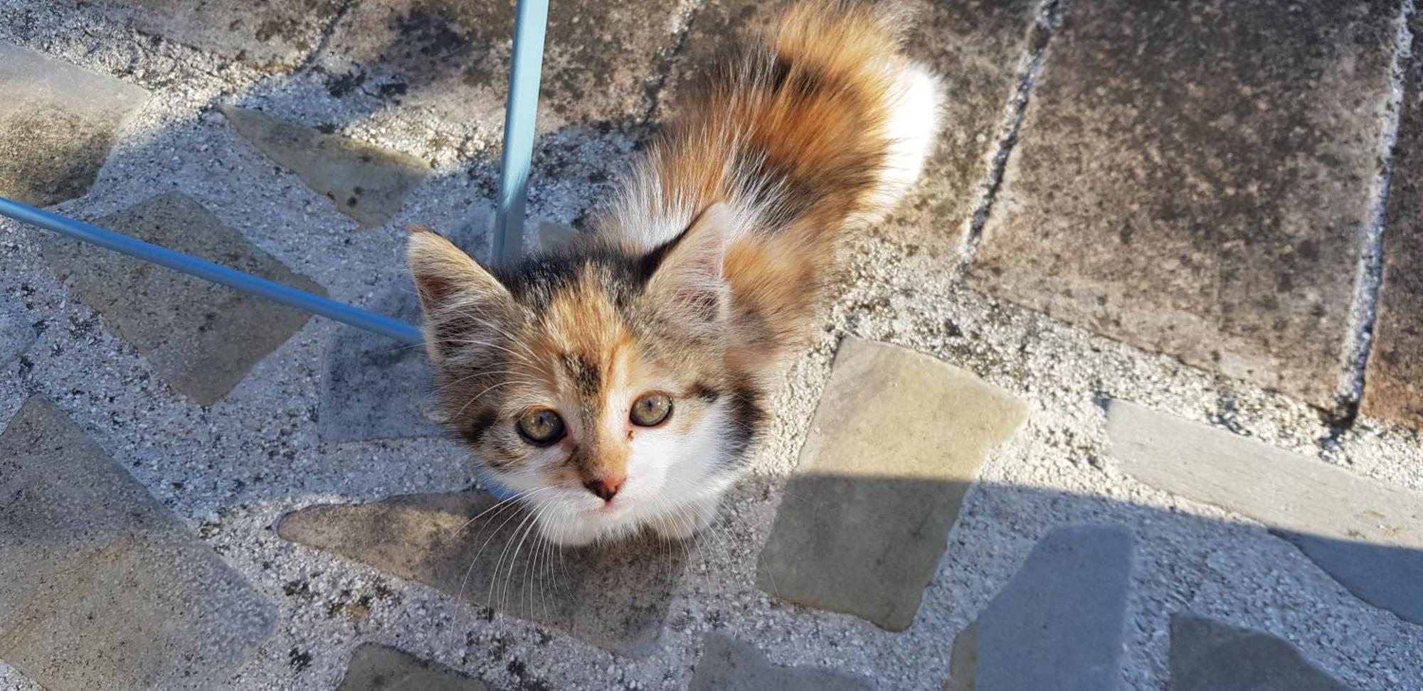 Willa Il Ciottone Nocera Umbra Zewnętrze zdjęcie